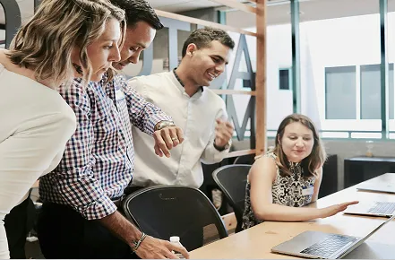 Program management consulting